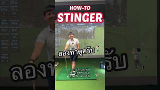 STINGER SHOT 🎯 golfswing golfswag golfmaster [upl. by Sinaj]