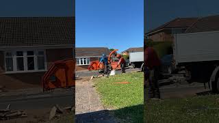 Conifer hedge removal arborist treework chainsaw [upl. by Ssecnirp]