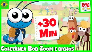 Coletânea Bob Zoom e os Bichos l Bob Zoom​ l Vídeo Infantil Oficial  Cantigas para dançar [upl. by Landry859]