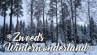 ❆ Kerst met de Soldaatjes Een Winterwonderland in Zweden ❆ [upl. by Patnode]