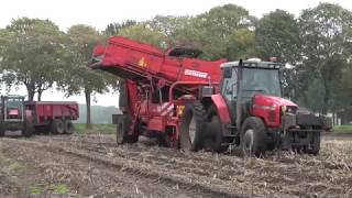 AARDAPPELS ROOIEN 2017 MASSEY FERGUSON 6270 GRIMME DR 1500 [upl. by Nolyarg]