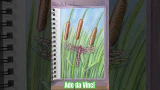 Cattails and Dragonflies short watercolor art [upl. by Gilbertine]