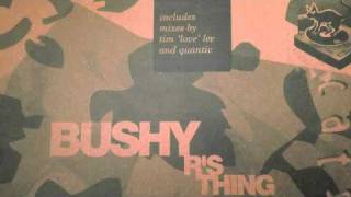 bushy  rs thing tim love lee mix [upl. by Gnourt256]