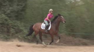 How To Position Your Horse To A Gallop [upl. by Anni]