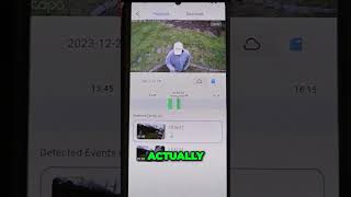 Tapo Camera Zoom in on Timeline for Clear Event Tracking [upl. by Lsiel]