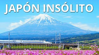 JAPÓN INSÓLITO  Las maravillas más alucinantes de Japón [upl. by Alil468]