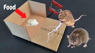 Best Mouse Trap Electric High Voltage  Mouse Trap  Electric Mouse Trap  Rat Trap [upl. by Atiral941]