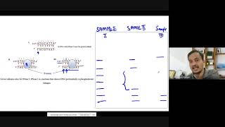 Genetic Engineering or Recombinant DNA Technology or Gene Manipulation [upl. by Giacobo]