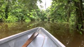 Tortuguero National Park  Costa Rica [upl. by Aenahs]