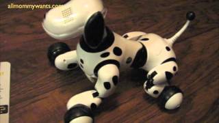 Zoomer The Interactive Robot Dog by Spin Master Review [upl. by Ide591]