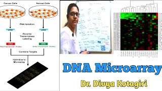 DNA microarray  Gene chip  DNA chip  Genes amp Genus [upl. by Oiluig604]