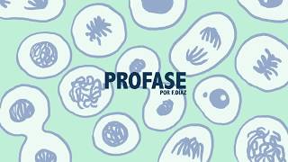 profase [upl. by Anawak]