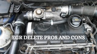 EGR Delete Explained  9 Major Pros And Cons [upl. by Agna]