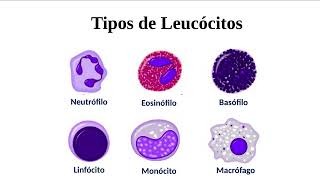 Microbiologia e Parasitologia Curso Técnico de enfermagem aula 5 completa [upl. by Davies]