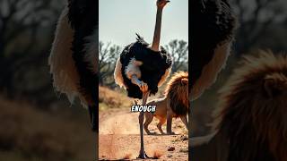 Incredible Ostrich Secrets You Never Knew – 3 Will Shock You 🐦 ostrich wildlife [upl. by Accemahs]