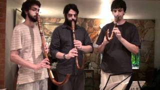 16th Century music on crumhorns  Susato  Crumhorn Trio  Die vier Branlen [upl. by Nuahsed621]