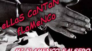 quotELLAS CANTAN FLAMENCOquot MI FLAMENCO SALSERO [upl. by Aicital]