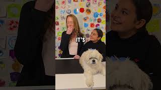 Candy thats dog food 🤔 shorts short youtubeshorts youtubeshort funny fyp viralvideo viral [upl. by Dale]