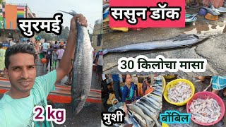 मासे आणायला गेलो ससुन डॉकला  Sassoon Dock Fish Market Mumbai  Fish Auction [upl. by Llenyr745]