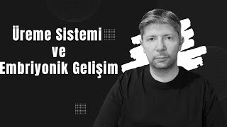 Üreme Sistemi ve Embriyonik Gelişim biyoloji aytbiyoloji üremesistemi embriyonikgelişim [upl. by Hyacinthe]