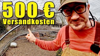 GewächshausAlbtraum 500€ Versandkosten und das alles nur für die Hühner 🤯 [upl. by Anelaf]