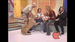 Lion attacks toddler on mexican tv show [upl. by Claudian]