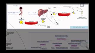 Dyslipidemia Concept Map HD [upl. by Liahkim626]