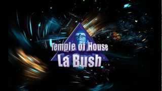 la bush temple of house  Game over  I Gotta Get You Tremplin Remix [upl. by Barbabas]