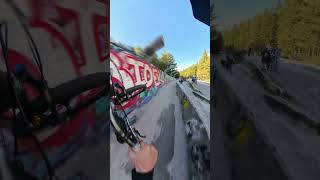 70kmh Brakeless MTB Bobsled POV [upl. by Os]