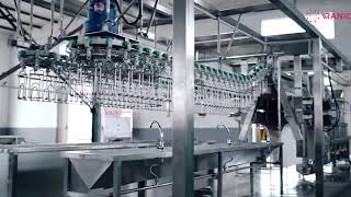 Chicken Processing Line 500BPH Compact Line [upl. by Hamehseer]