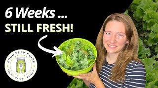 How to Keep Lettuce FRESH in the Fridge for 6 Weeks 🥬 [upl. by Couq]