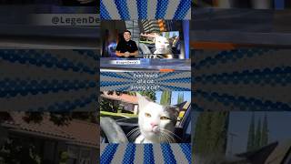 Driving Cat Takes TikTok by Storm The Hilarious Meme You Cant Miss [upl. by Aiyotal]