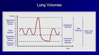 Pulmonary Function Tests PFT Lesson 1  An Introduction [upl. by Alikahs]