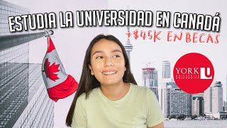 BECAS para ESTUDIAR la UNIVERSIDAD en CANADÁ 🇨🇦 YORK UNIVERSITY en TORONTO  💰45K al año en BECAS [upl. by Prior]