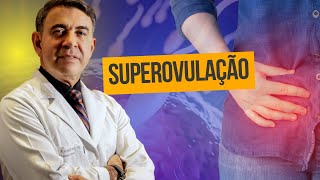 SUPEROVULAÇÃO COMO FUNCIONA E QUANDO ACONTECE  ENTENDA SEU CICLO DA FERTILIDADE [upl. by Suivatal]