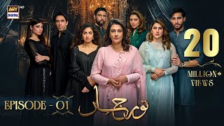 Noor Jahan Episode 1  25 May 2024 English Subtitles  ARY Digital Drama [upl. by Yraeht]