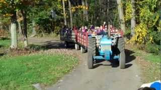 Roses Berry Farm  Fall Hayride [upl. by Lodie]