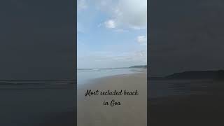 Most secluded beach in Goa  Mandrem beach goa inda travelvlog [upl. by Donetta]