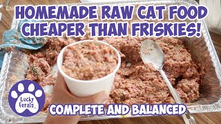 Homemade Raw Cat Food Recipe Thats Cheaper Than Friskies S6 E3 Complete Balanced Raw Cat Food [upl. by Sdlonyer]