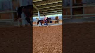 Contre galop avec Toutatis en hackamore chevalpassion chevaux cheval equitation equestre [upl. by Akimahs]