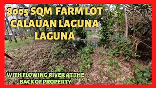 8005 Sqm Farm Lot in Calauan Laguna for Sale Lot Code 2417 [upl. by Irfan]