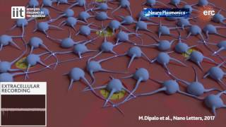 Intracellular and Extracellular Recording [upl. by Rehteh]