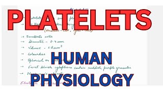 Platelets Thrombocytes  Blood cellsTelegram link httpstmedrshikhasaxenahumanphysio [upl. by Yellah134]