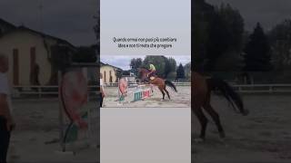 Opssss😅😂 equitazione horse [upl. by Sheelagh500]