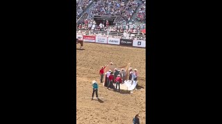 Calgary Stampede Cowboy Snaps Cows Neck with Bare Hands 💔 [upl. by Gilead]