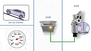 EGR Position Signal Voltage Low [upl. by Aivle]