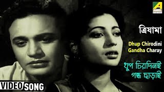 Dhup Chirodini Gandha Charay  Trizama  Bengali Movie Song  Uttam Kumar Suchitra Sen [upl. by Buchbinder941]