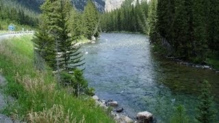 Fishing the Gallatin River near Yellowstone NP [upl. by Lumbye689]