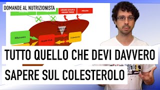 Tutta la verità sul colesterolo [upl. by Ahsotan]