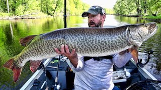 MY BIGGEST MUSKY EVER  Northern Wisconsin Opener Giant Muskie [upl. by Noned]